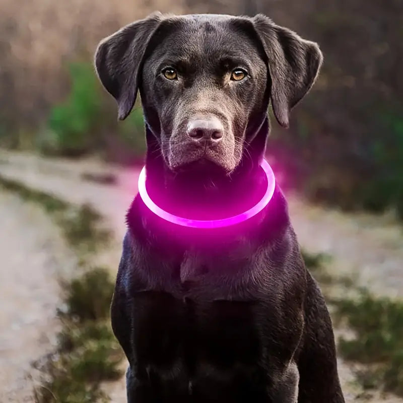 Collar reflectante para perros